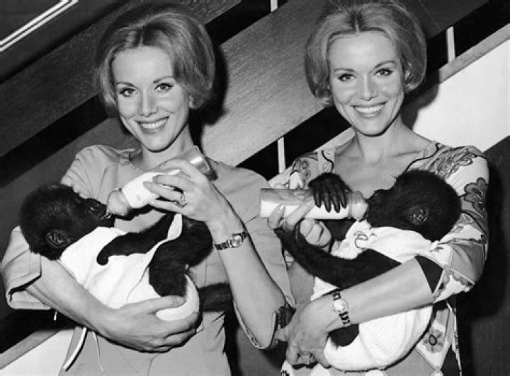 Alice Greali - Age, Family, Bio