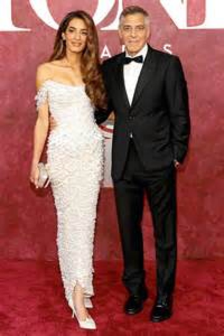 Amal Nemer - Age, Family, Bio