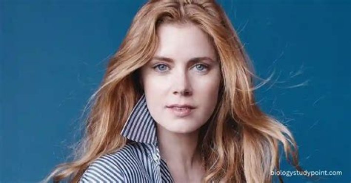 Amy Adams Bio (Wiki) 