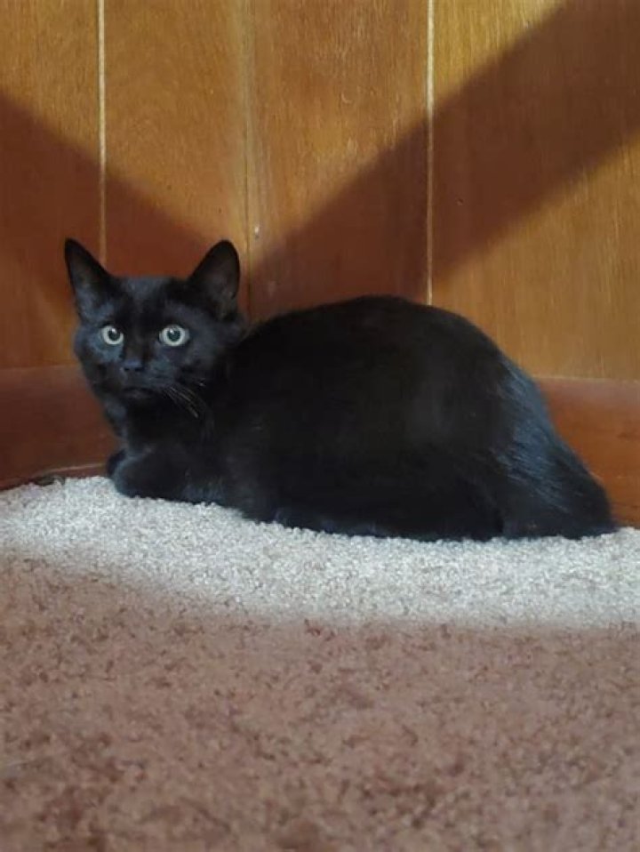 Angelina Pivarnick Opens Up About Having Children