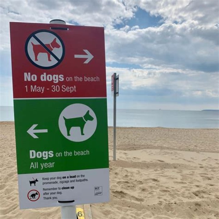 Are dogs allowed on Drakes Beach?