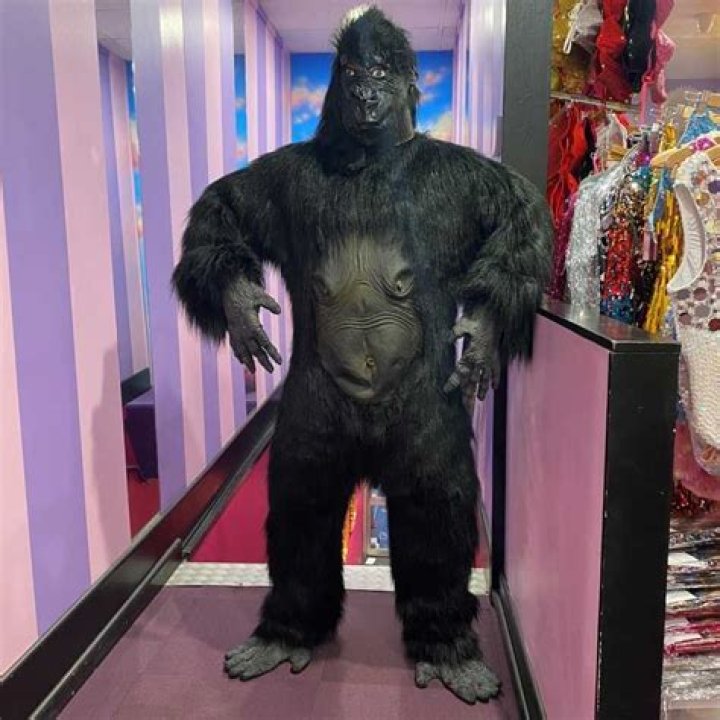 Bristol Palin wears a gorilla costume on DWTS, sucks at it