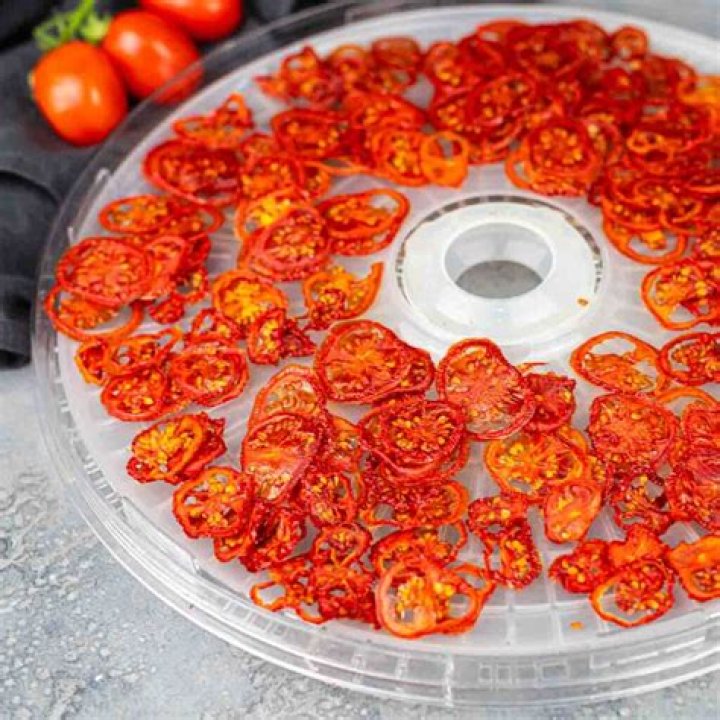 Can you put cheese in a dehydrator?
