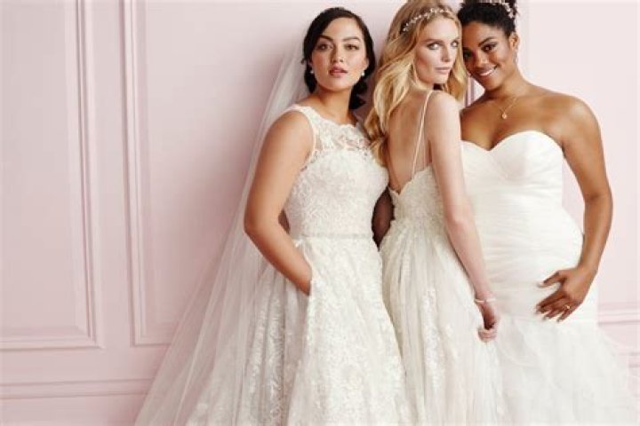 Can you rent dresses from David’s Bridal?