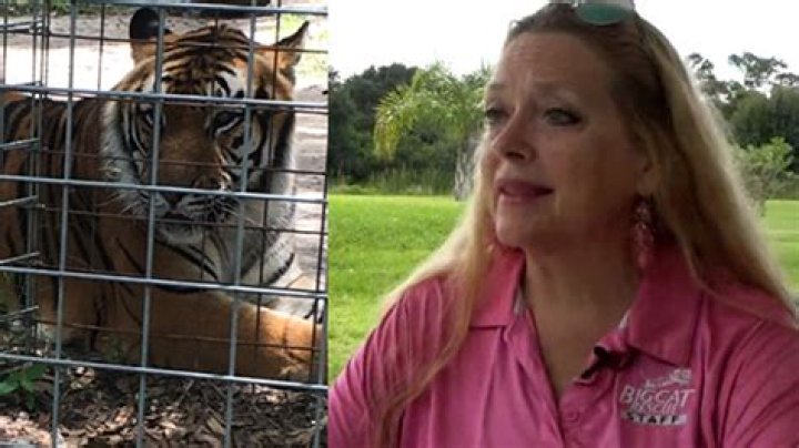 Carole Baskin Wins Control of Joe Exotic's Zoo