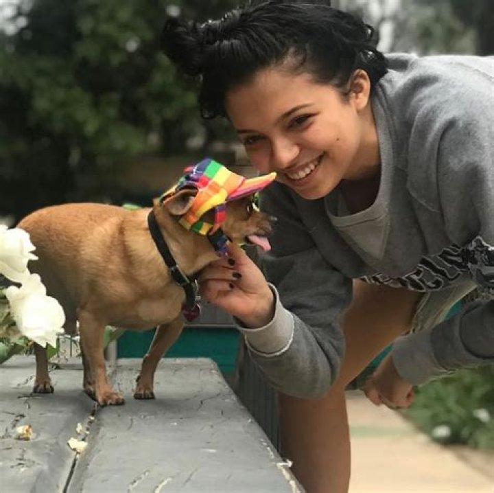 Cree Cicchino Pets - Celebrity Pets