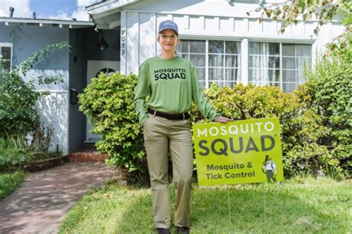 Does Mosquito Squad kill bees?