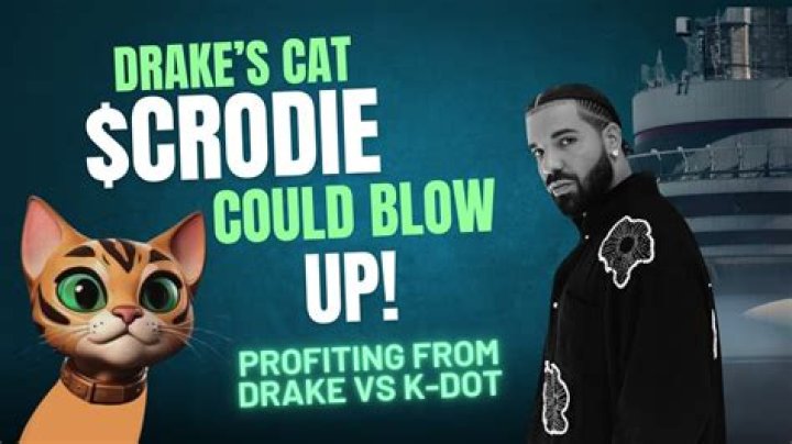 Drake naming his pet cat Crodie wasn't on fans' bingo card