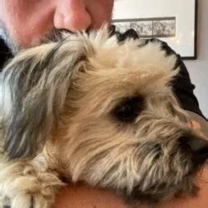 Ethan Suplee Pets - Celebrity Pets