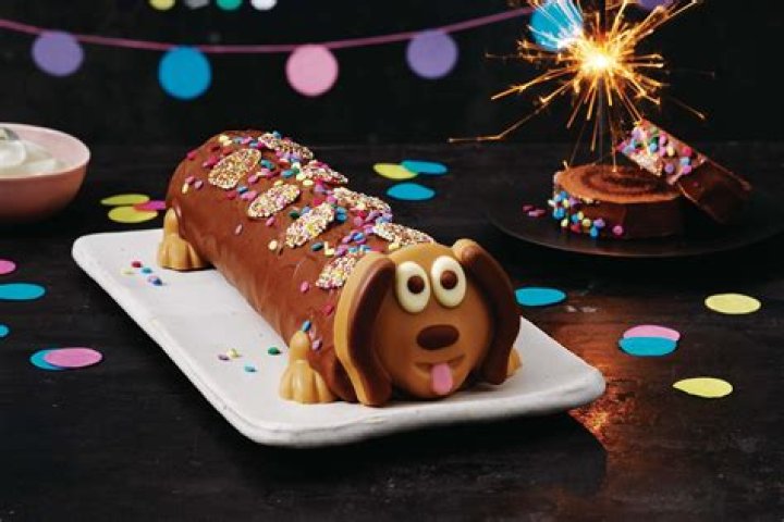 Famous Spencers | Famous Birthdays