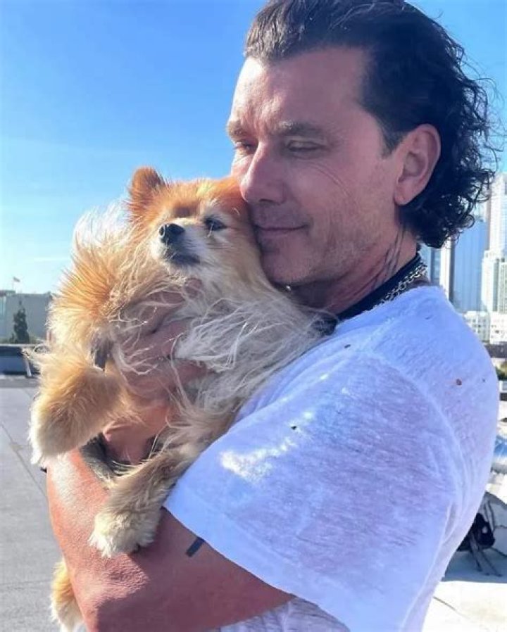 Gavin Rossdale Pets - Celebrity Pets