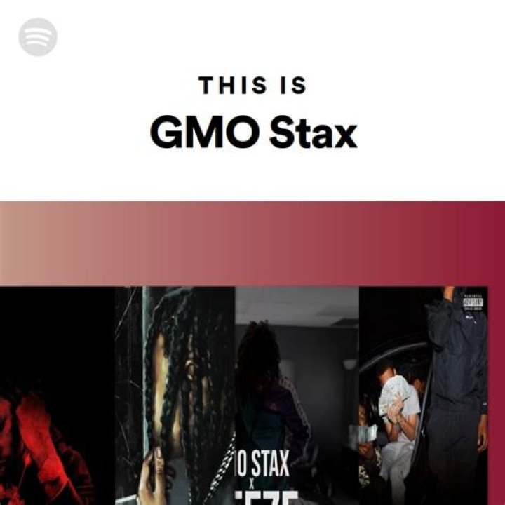 GMO Stax - Trivia, Family, Bio