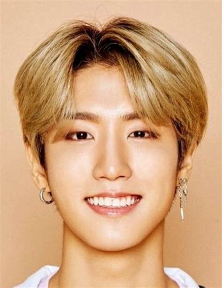 Han Jisung - Age, Family, Bio
