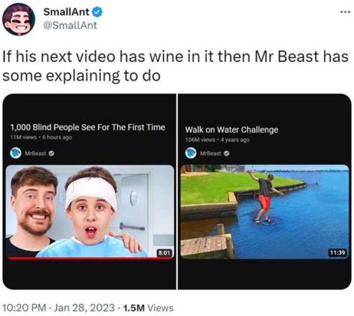 
“He is literally the Antichrist”: MrBeast blind video controversy explained amid wild backlash 