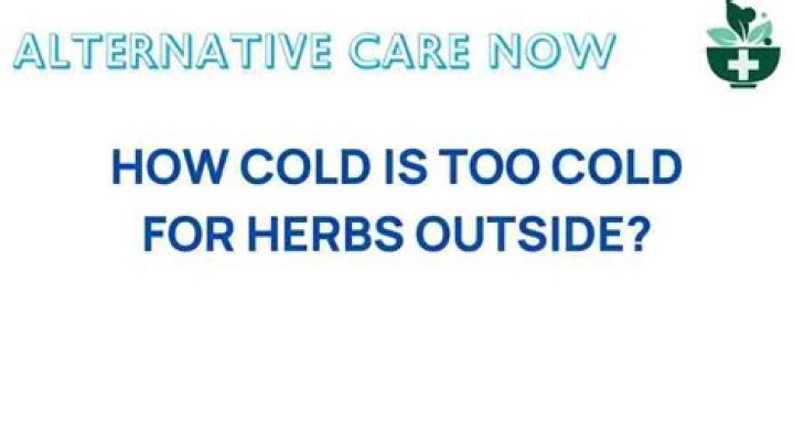 How cold is too cold for herbs outside?
