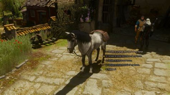 How do I save the man in the stable Witcher 3?