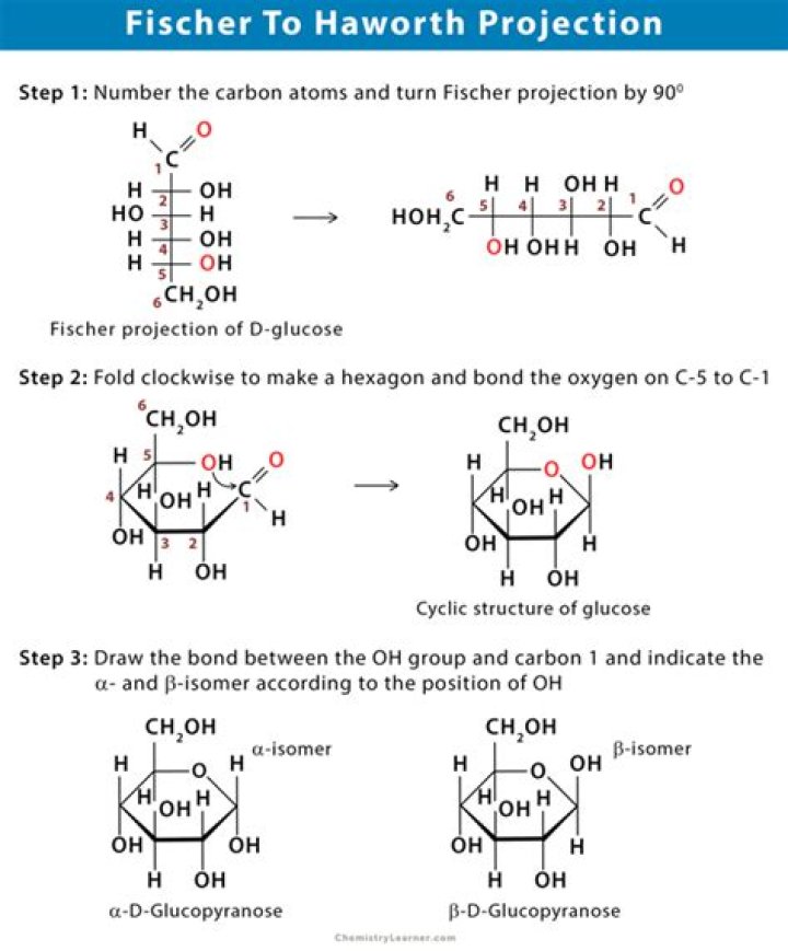 How do you convert Fischer projection to Haworth projection?