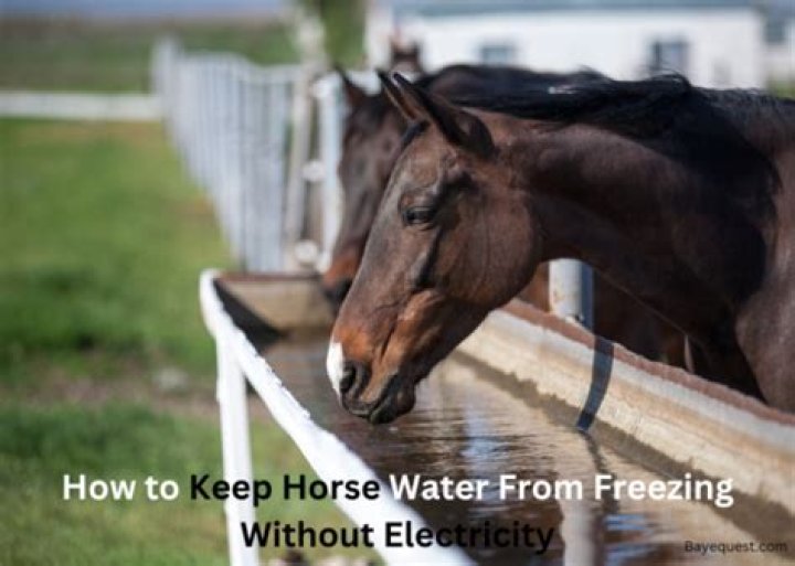 How do you keep a horse trough from freezing without electricity?