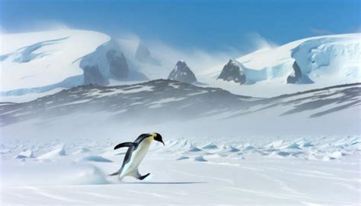 How fast can a penguin run?