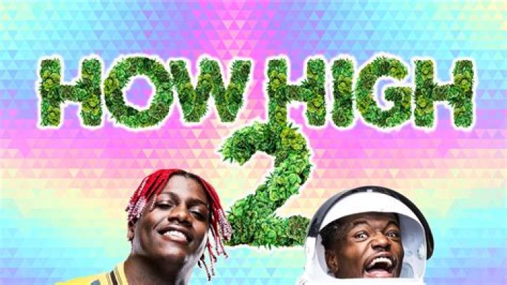 How High 2 - Cast, Ages, Trivia