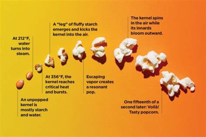 How is popcorn salt different?