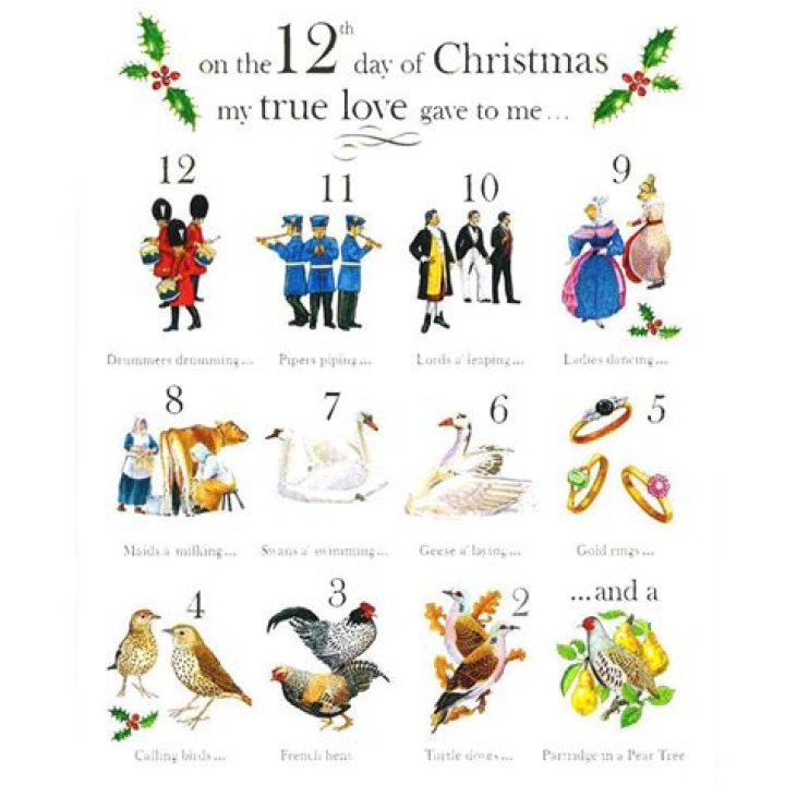 How many birds are gifted in 12 Days of Christmas?