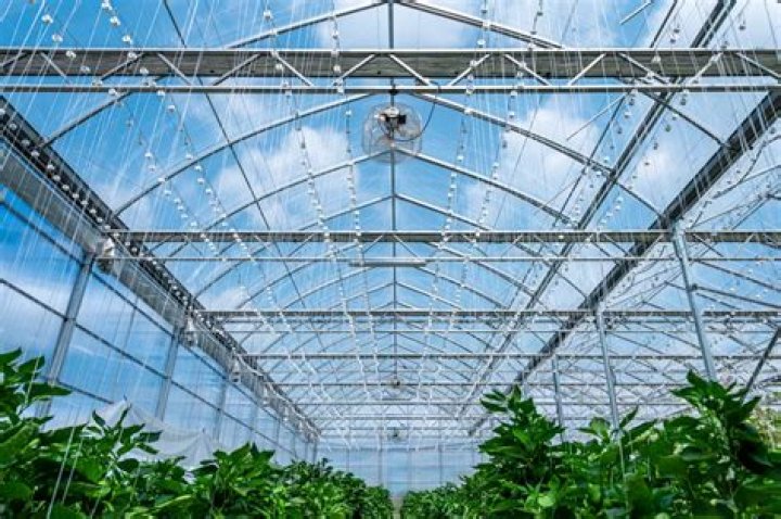 How much does a commercial greenhouse cost?