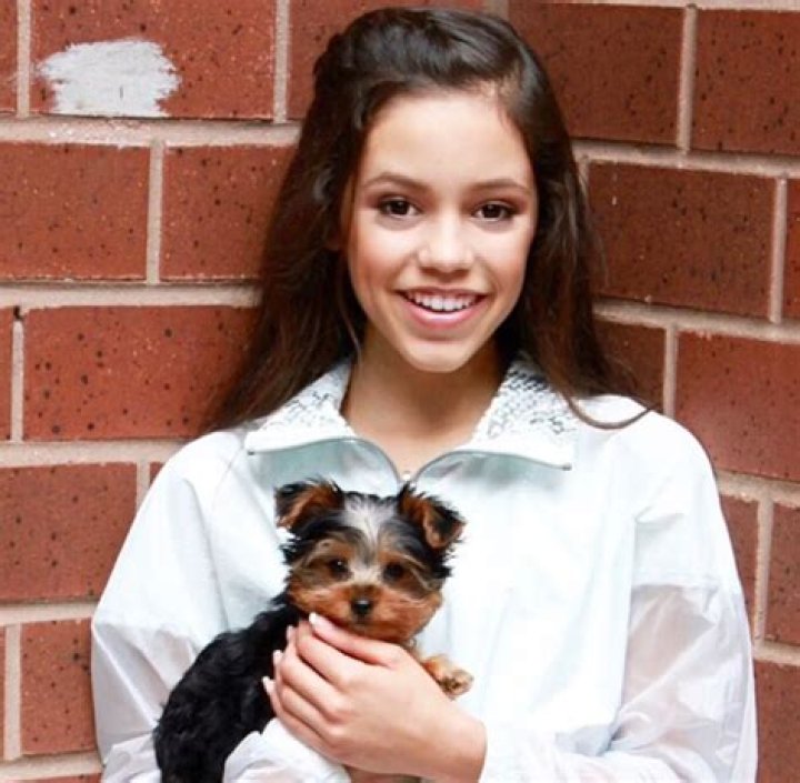 Jenna Ortega Pets - Celebrity Pets