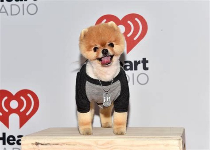 JiffPom - Age, Family, Bio