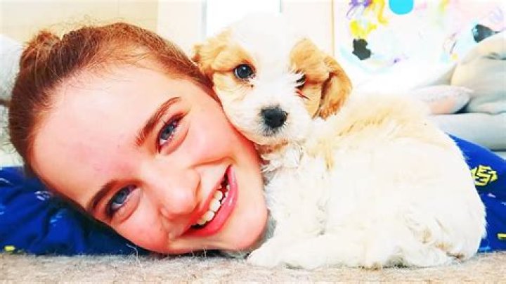 Justin Norris Pets - Celebrity Pets