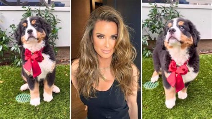 Kyle Richards Fosters Then Adopts a Bernese Mountain Dog Puppy From a Fan
