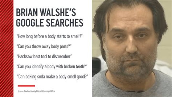 
“Maybe the dumbest criminal ever”: Brian Walshe Google search history baffles internet as Ana Walshe’s husband is charged with murder 