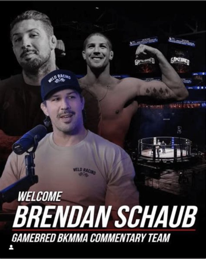 Meet Brendan Schaub-Former MMA Fighter-Turned Stand-Up Comedian
