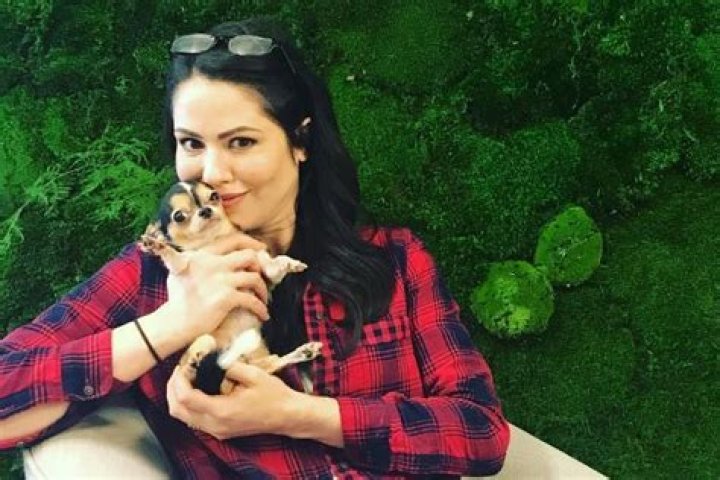 Michelle Borth Bio (Wiki) 