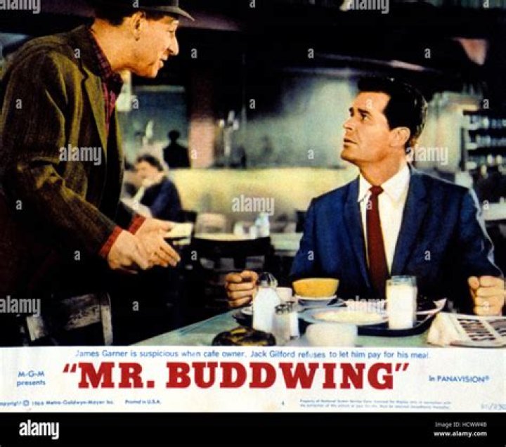 Mister Buddwing Ending Explained, Did James Garner Figure Who He Really Is?