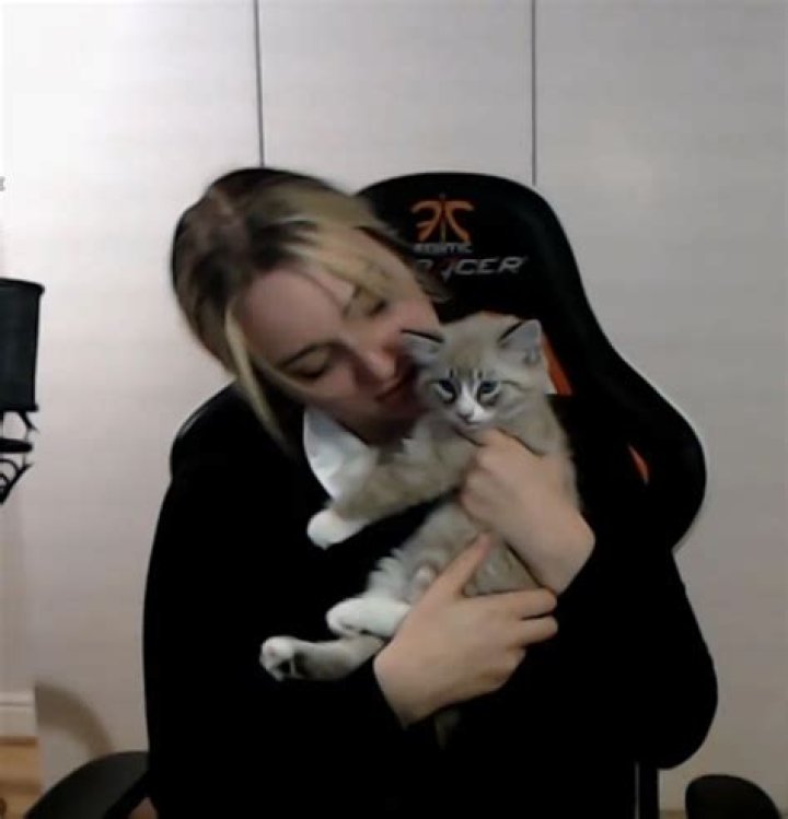 Nihachu Pets - Celebrity Pets