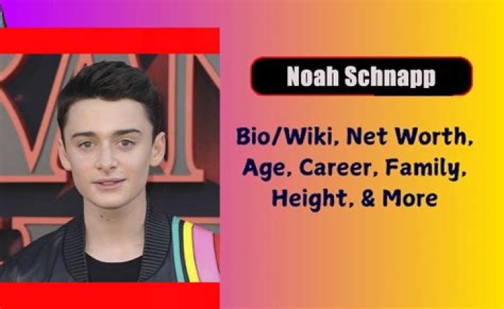 Noah Schnapp Net Worth - Wiki, Age, Weight and Height, Relationships, Family, and More
