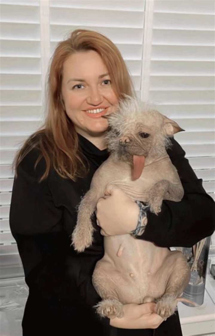 Peggy The Pug - Trivia, Family, Bio