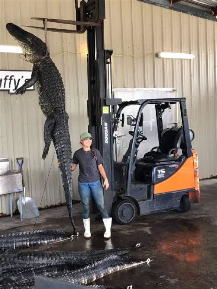 Petros Ananyan Height, Weight, Net Worth, Age, Birthday, Wikipedia, Who, Nationality, Biography