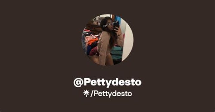  pettydesto