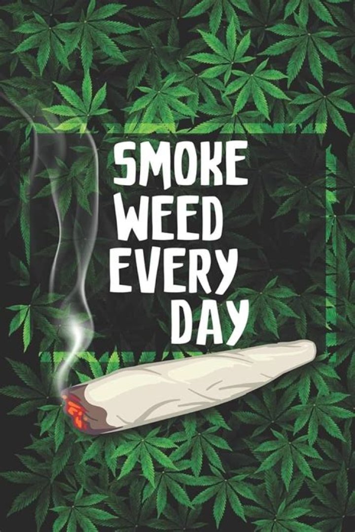 Seth Rogen on needing to smoke weed every day: ‘People don’t stigmatize shoes’