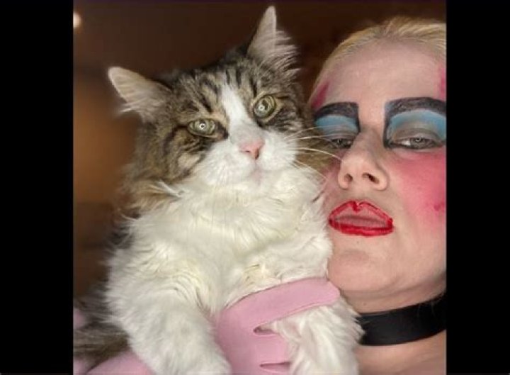 Shandi Sullivan Husband: Married Life And Family Ethnicity