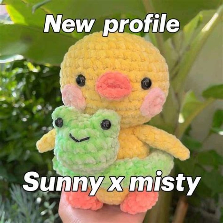 sunnyxmisty - Trivia, Family, Bio
