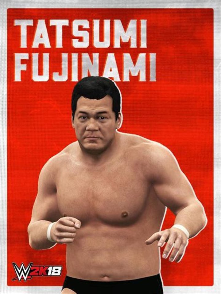 Tatsumi Fujinami - Age, Family, Bio