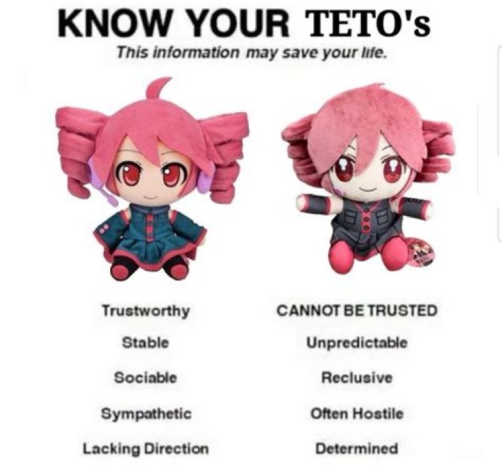 Teto - Age, Family, Bio