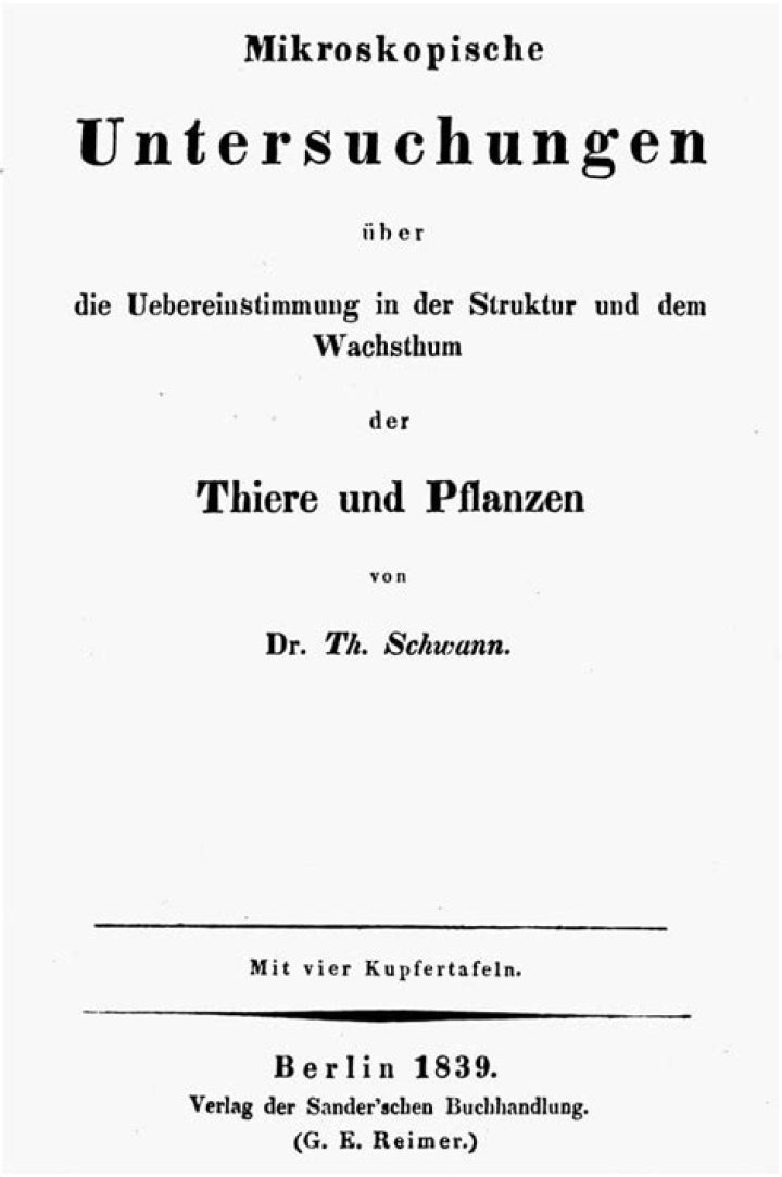 Theodor Schwann - Trivia, Family, Bio