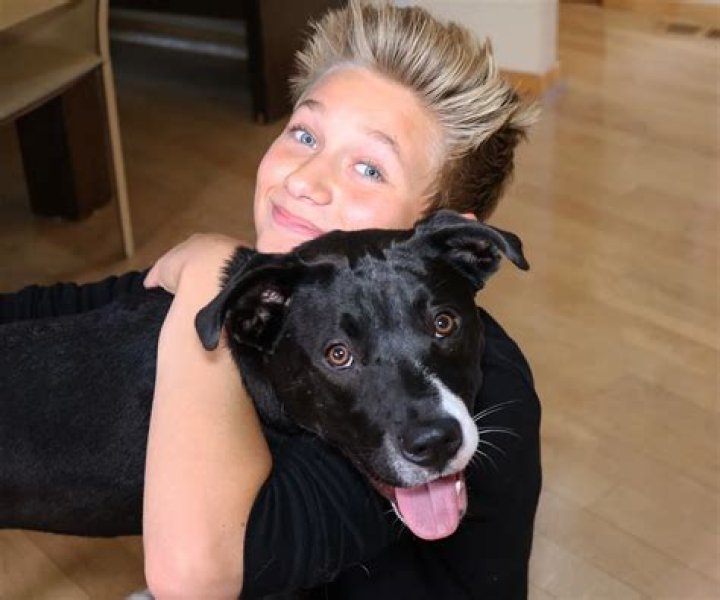 Thomas Kuc Pets - Celebrity Pets