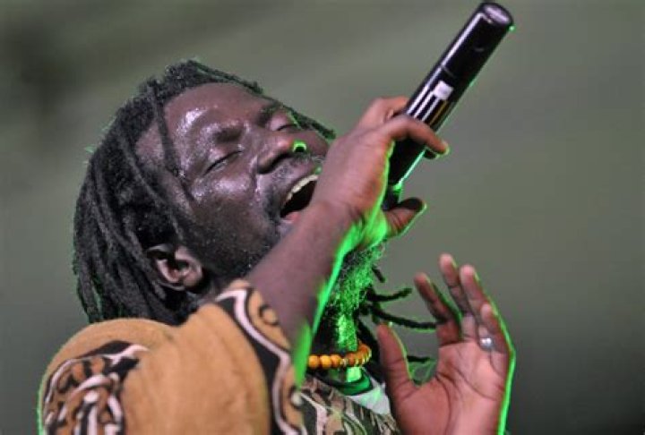 Tiken Jah Fakoly Net Worth - Wiki, Age, Weight and Height, Relationships, Family, and More