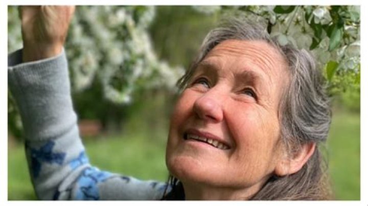 Ve Neill - Age, Family, Bio