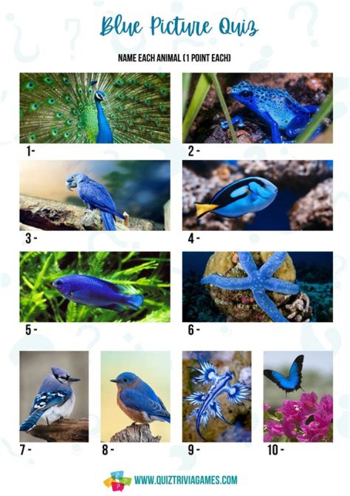 Vida Blue - Trivia, Family, Bio